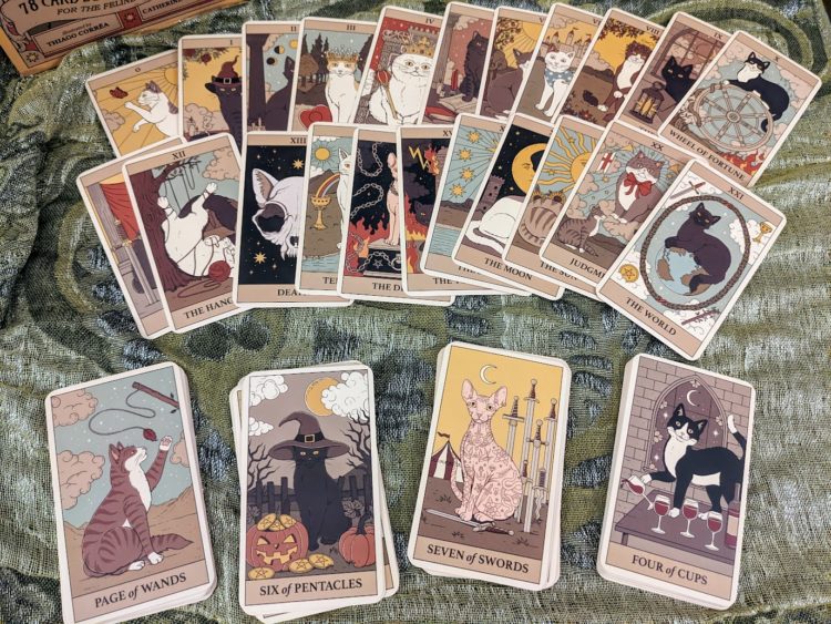 Love, Career, and Tuna? Cats Rule the Earth Tarot Answers It All