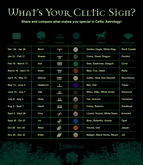 Celtic Astrology Calculator: Find Your Tree Sign Now!