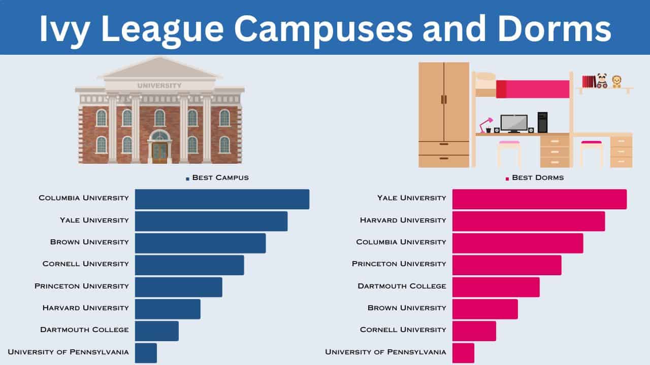 Which Ivy League is the Best for Psychology? Top Schools Ranked!