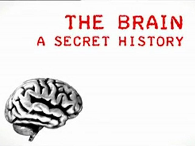 Best documentaries about psychology (Simple explanations of complex brain stuff)