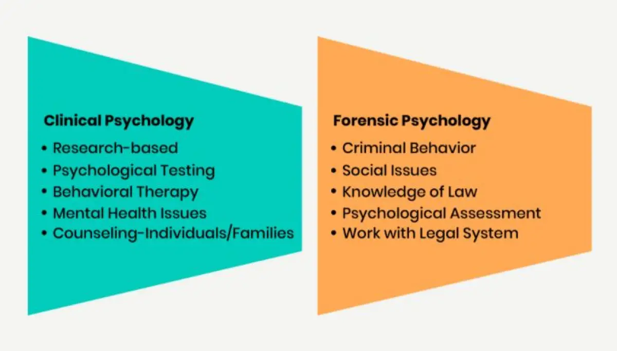 Best colleges forensic psychology programs: Start your journey to becoming a forensic psychologist!