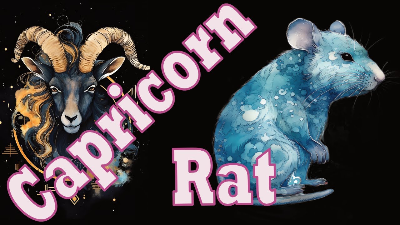 Love Compatibility: Capricorn Rat in Relationships