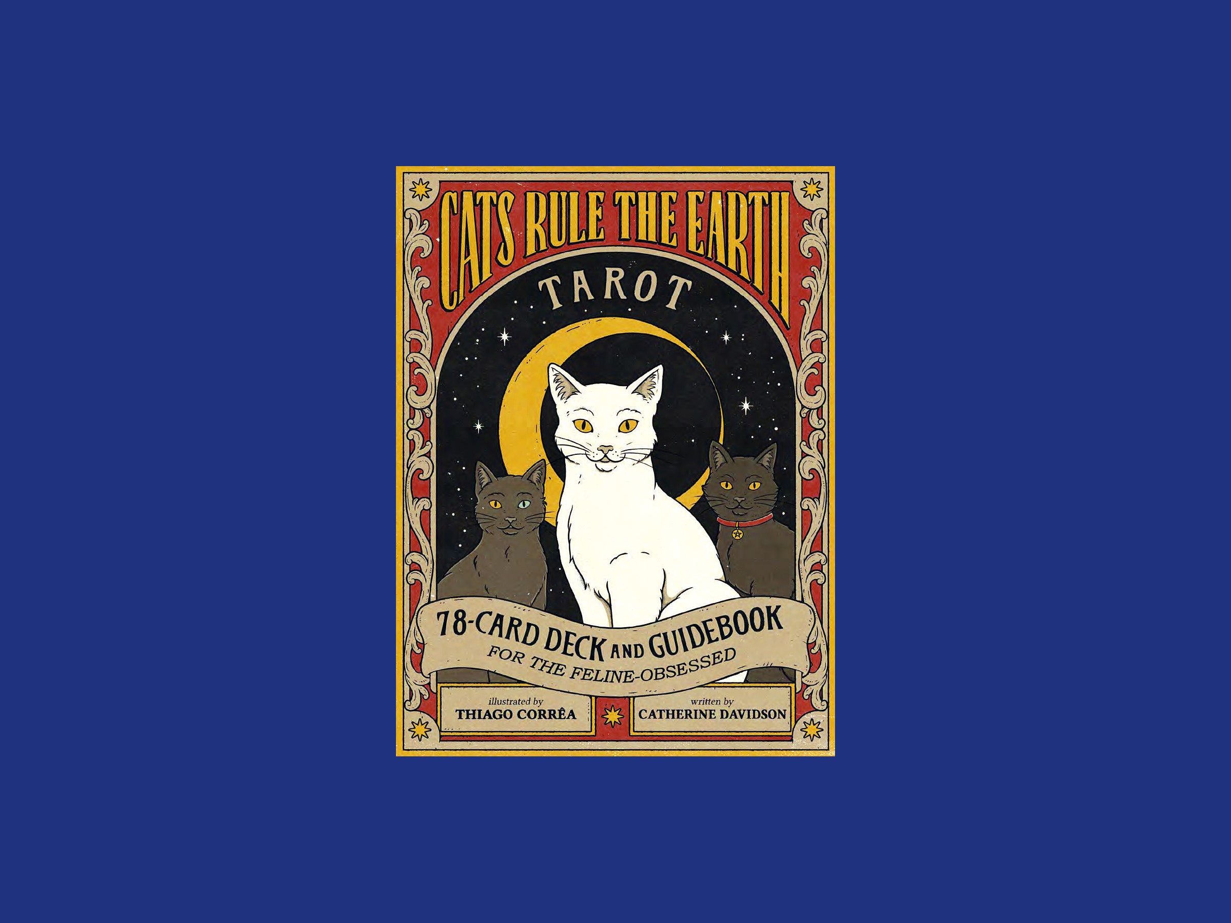 Love, Career, and Tuna? Cats Rule the Earth Tarot Answers It All