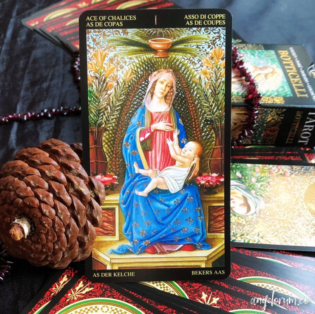 Golden Botticelli Tarot Cards: Are They Worth the Money? (Unbiased In-Depth Review)