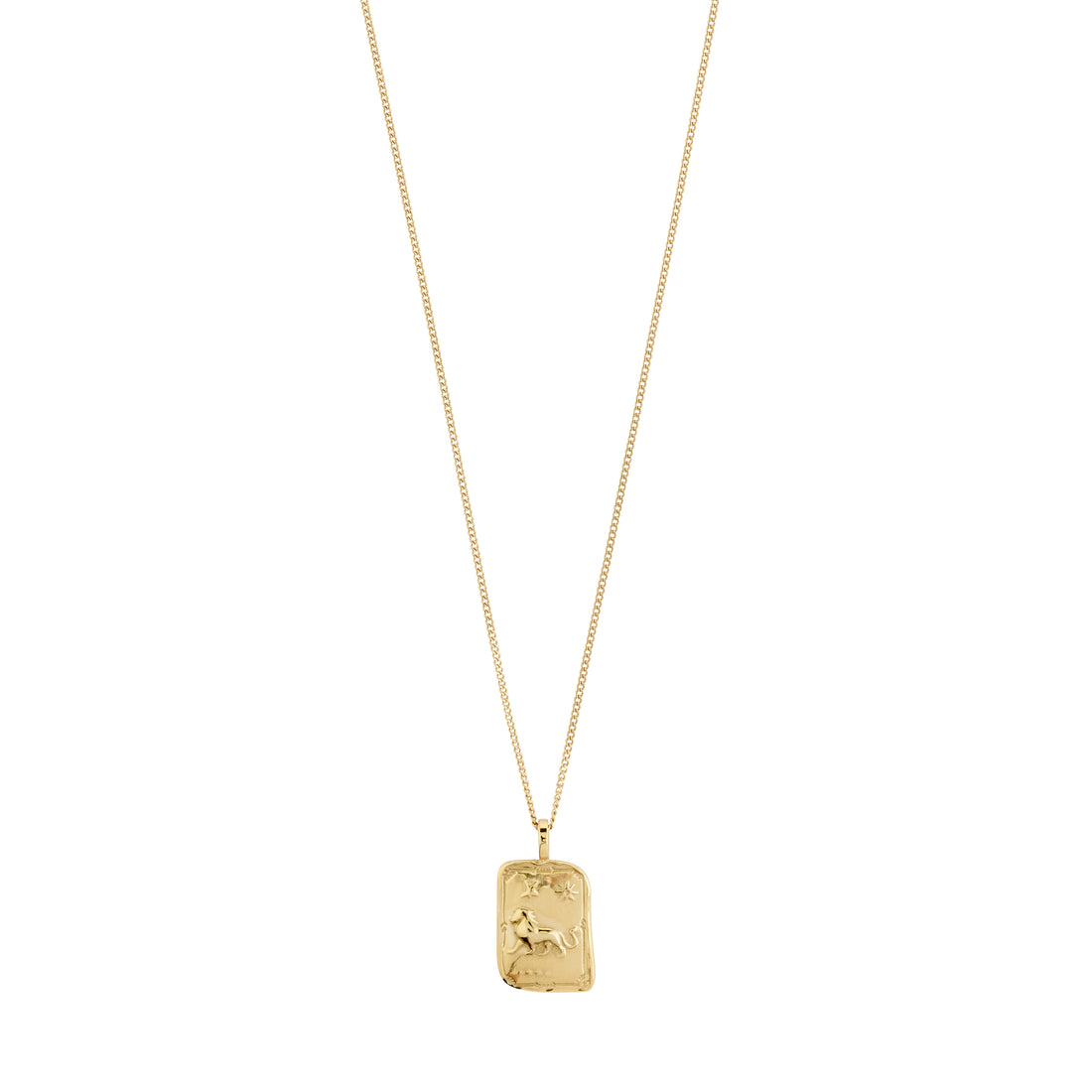 Horoscope necklace leo: discover the perfect zodiac pendant for you here.