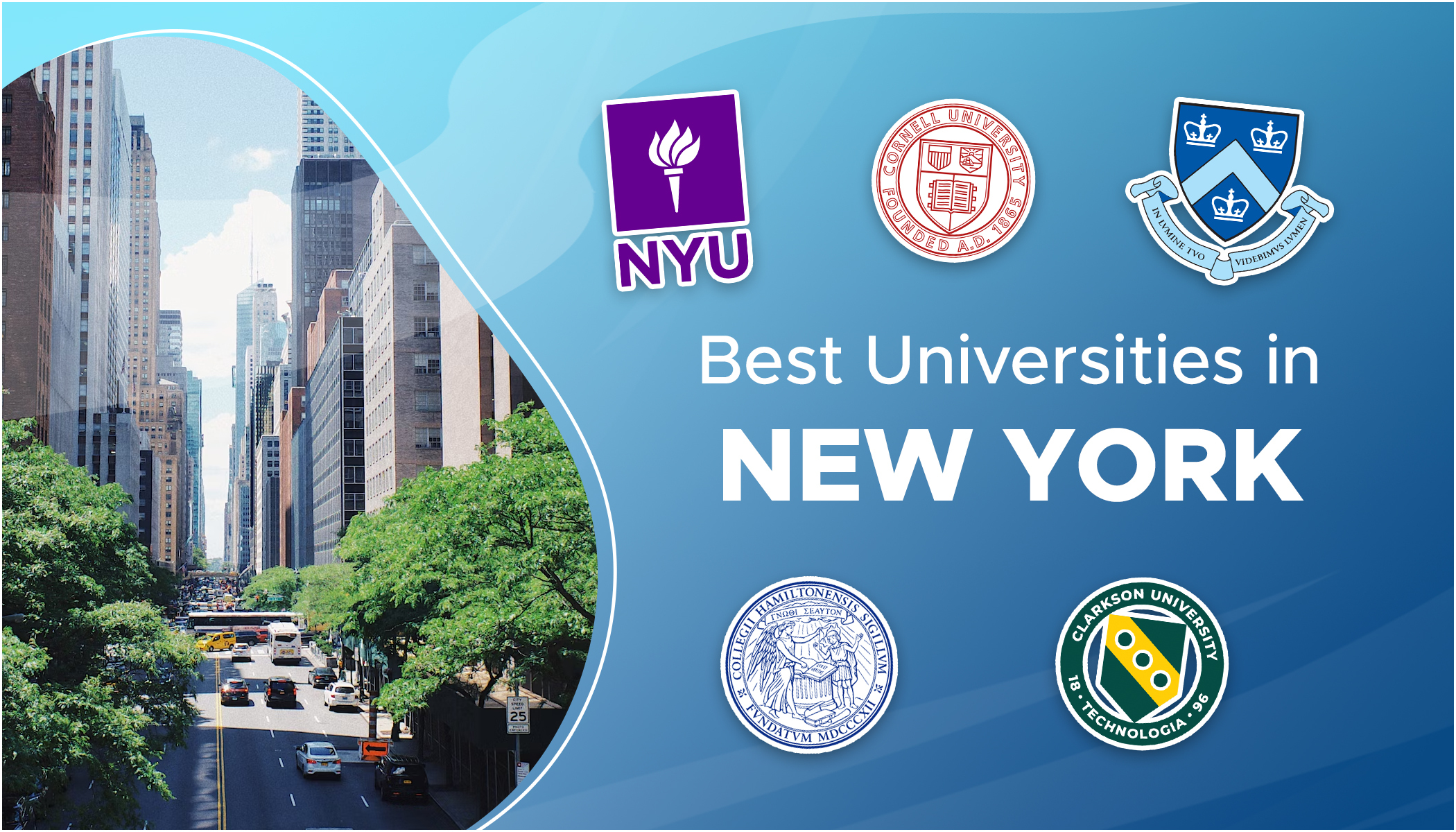 Best SUNY Colleges for Psychology Majors: Your Easy List