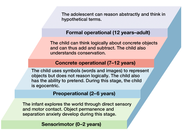 AP Psychology Stages of Development: Key Concepts You Must Know