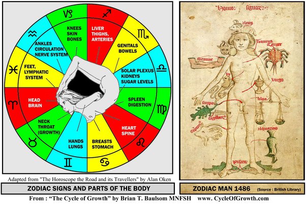 Unlock the Secrets of Body Parts Planets Astrology Today