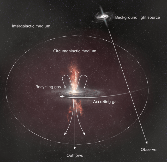 The CGM Astronomy: Understanding the Fuel for Star Formation