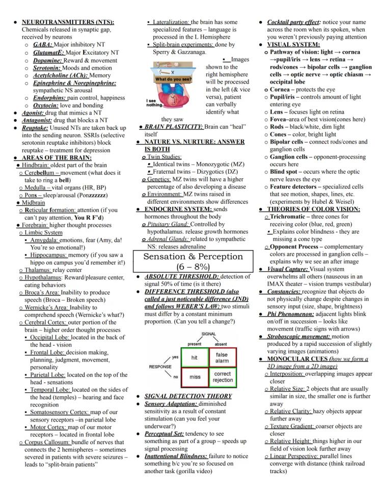 AP Psychology Vocabulary List by Unit: Simple Guide for You