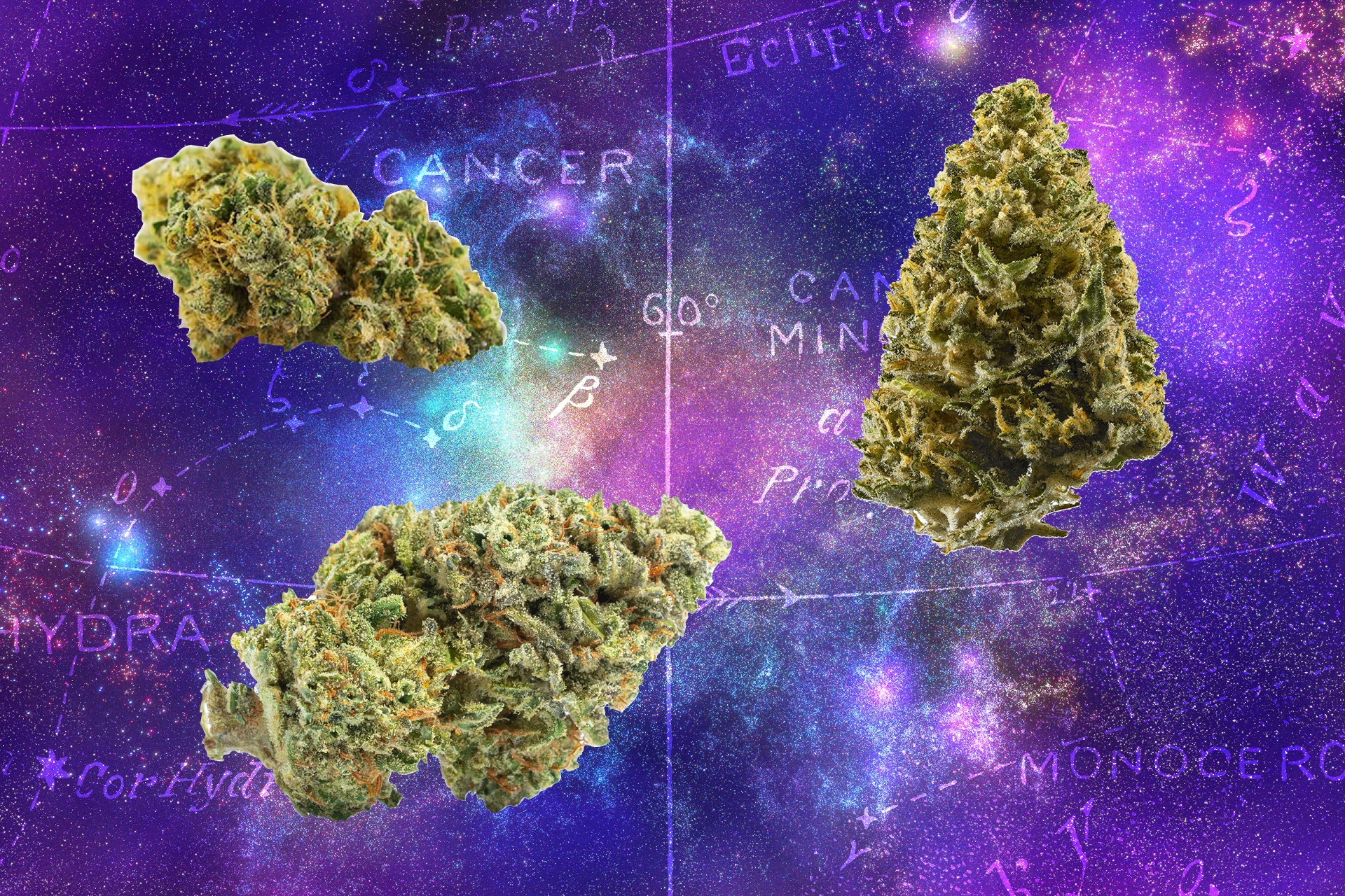 Astrology Weeds: What Your Zodiac Sign Says About Your Weed Preferences