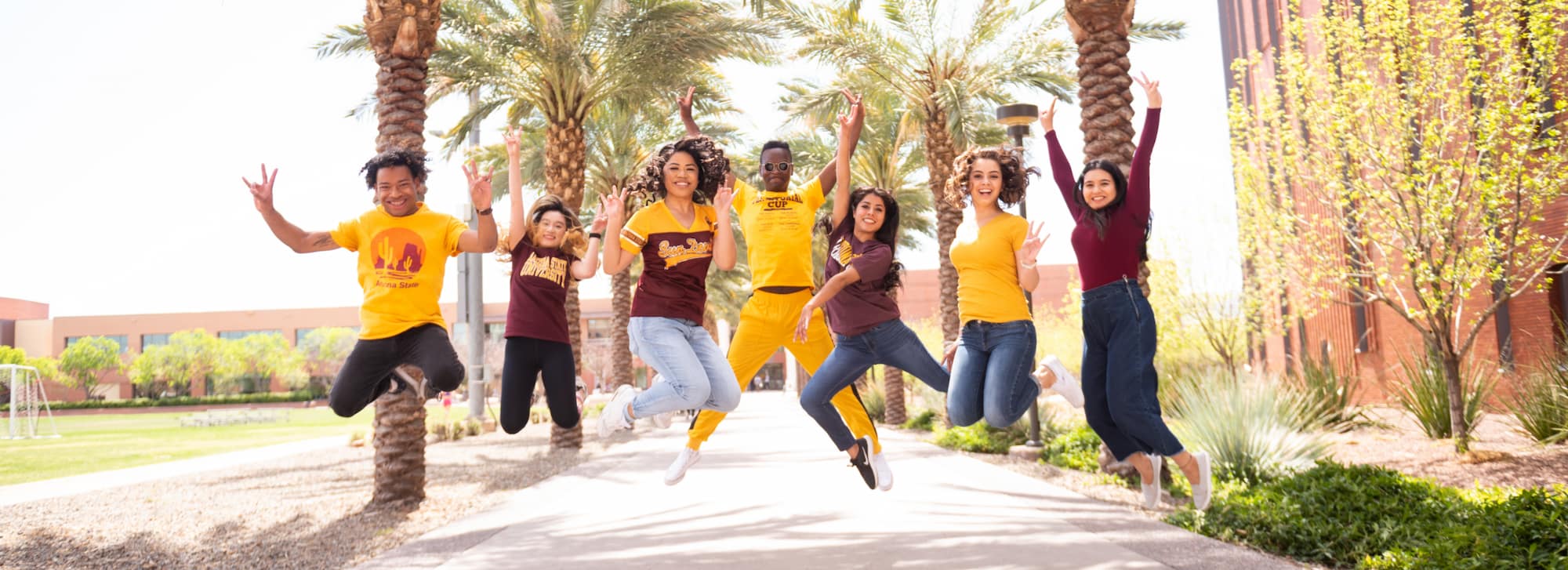 Study Arizona State Counseling Psychology: Top Programs & Requirements