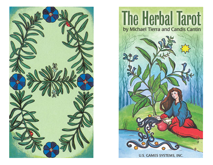 Learn Herbal Tarot: A Simple Way to Improve Your Life!