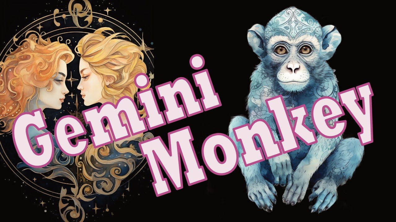 Gemini Monkey Primal Astrology: Your complete guide about the traits and compatibility!