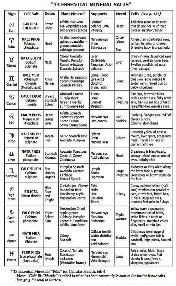 Cell Salts Astrology: Easy Guide to Improve Your Life