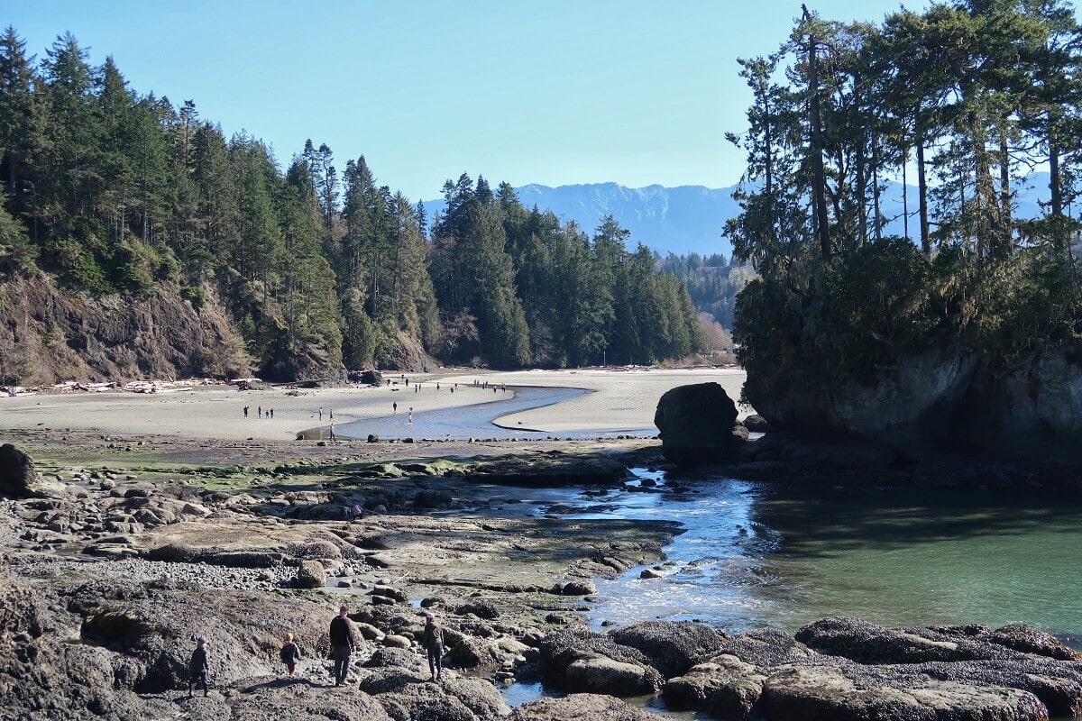 Planning a Trip to Beach Port Angeles? Heres What You Need to Know