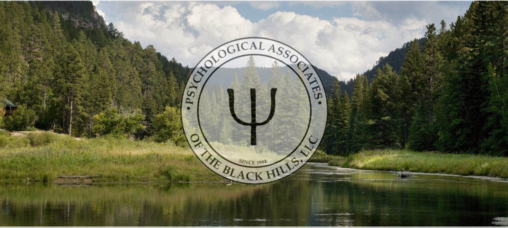 Need Help? Black Hills Psychological Associates: Are They Right for You? Lets Find Out Together