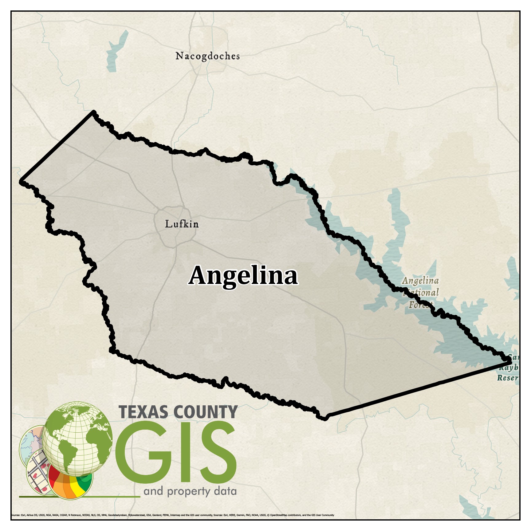 Angelina Public Records: Your Guide to Texas Property Data