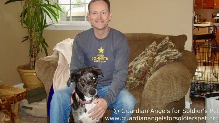 Guardian Angels for Soldiers Pets & Dogs on Deployment: Who Are They?