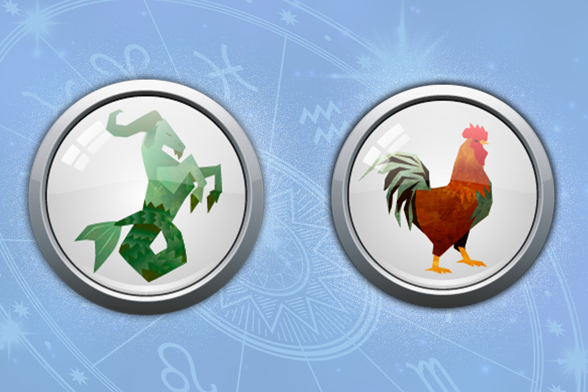 Capricorn Rooster Primal Astrology: Love, Career and More