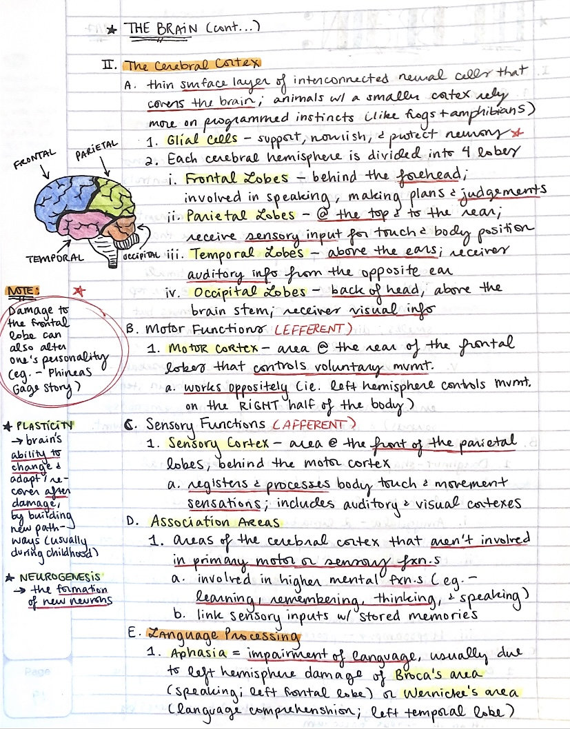 Confused by AP Psych?  Myers Notes to the Rescue!