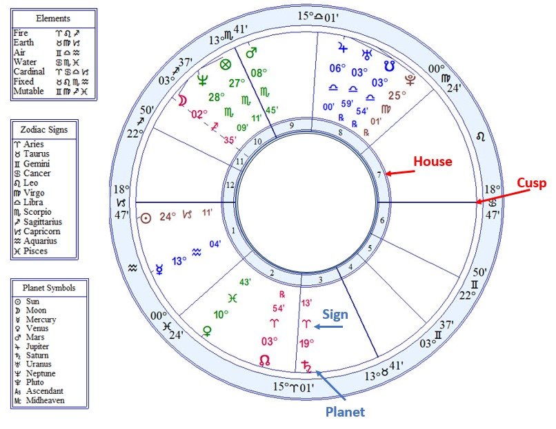 Astrology Org Chart: What Is It & How to Use It?