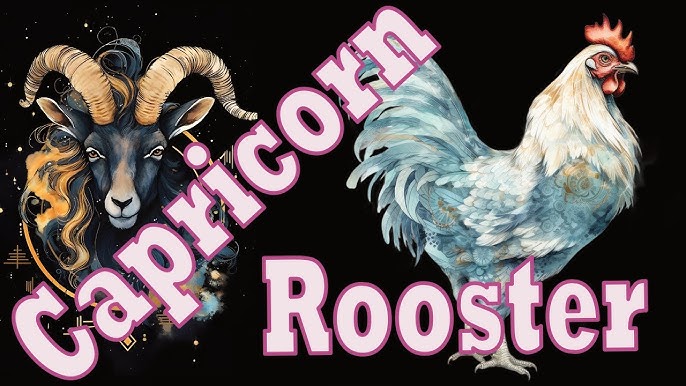 Capricorn Rooster Primal Astrology: Love, Career and More