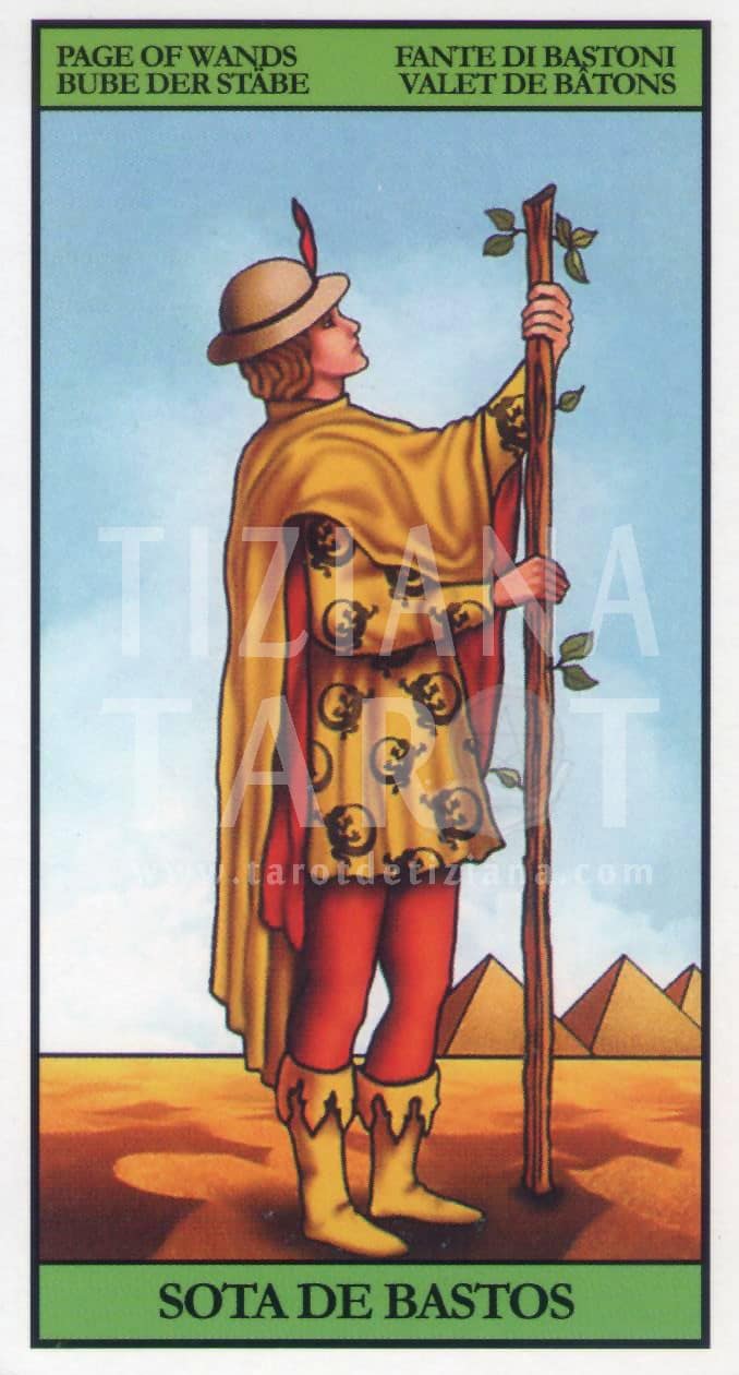 Sota de Bastos Tarot Card Explained: A Simple Tarot Interpretation