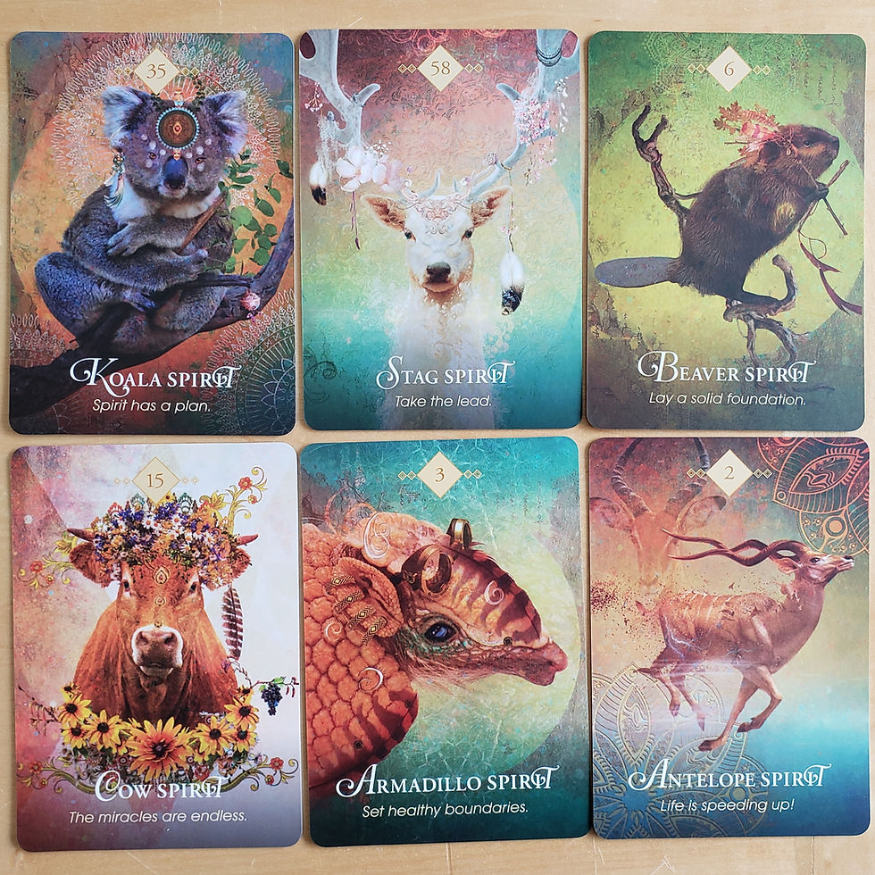 Spirit Animal Tarot Cards: What Are They and How Can They Help You?