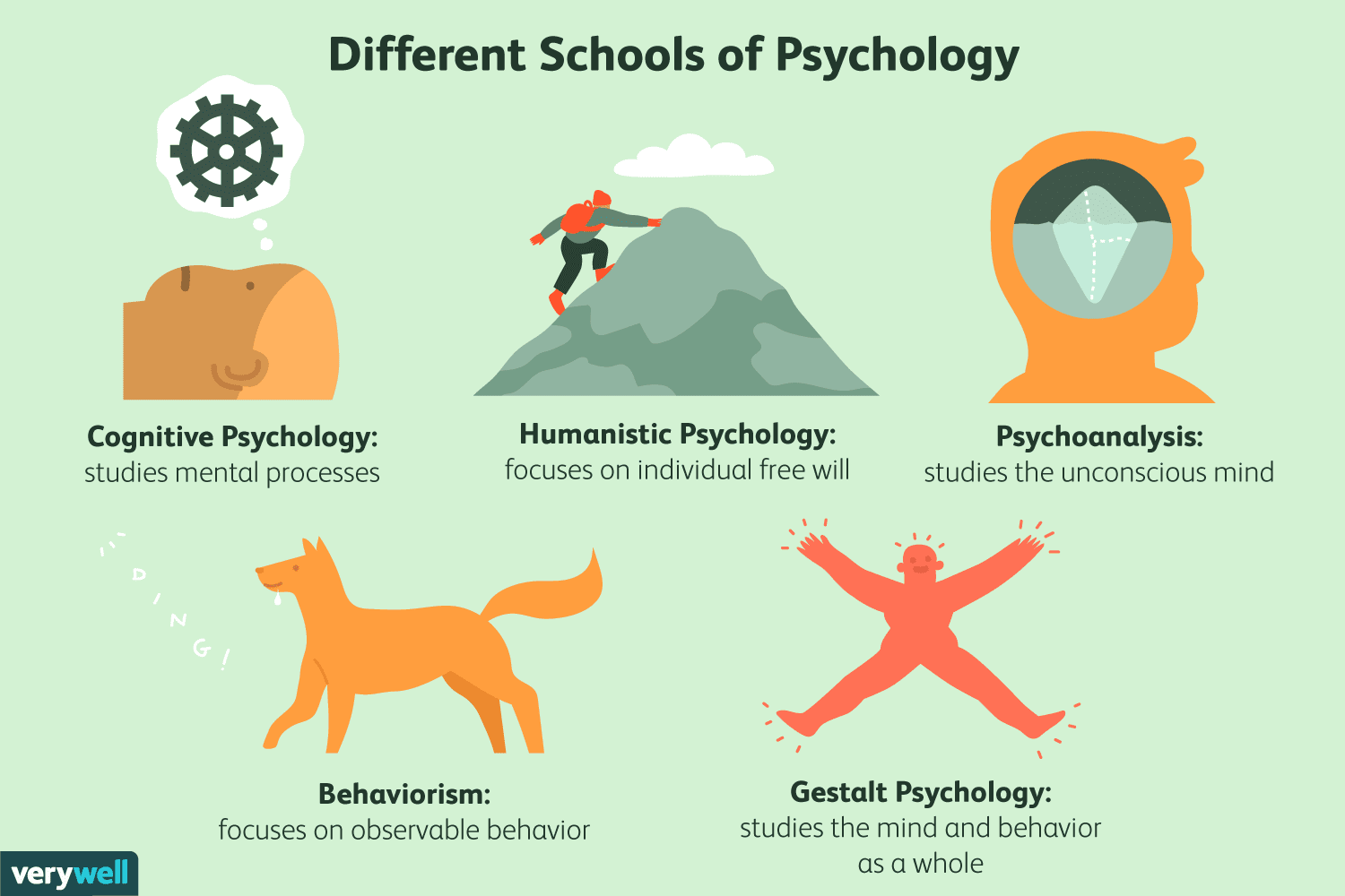 Different Schools of Psychology: Learn About the Basics of Each Type