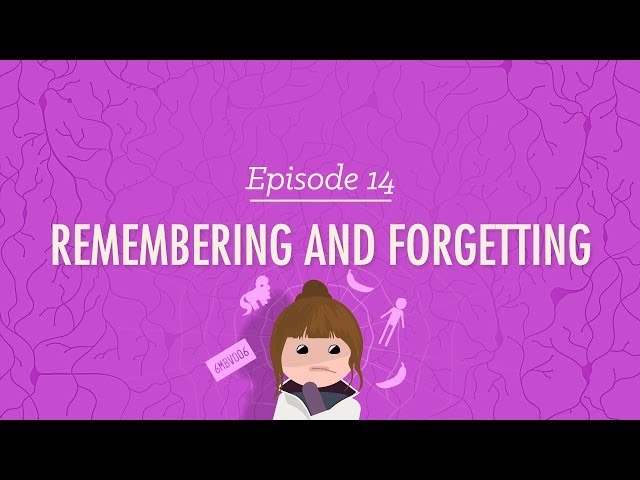 Discovering Psychology Episode 9 Answers: Easy Guide to Remembering and Forgetting (Simple Tips Inside)