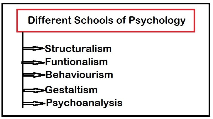 Different Schools of Psychology: Learn About the Basics of Each Type