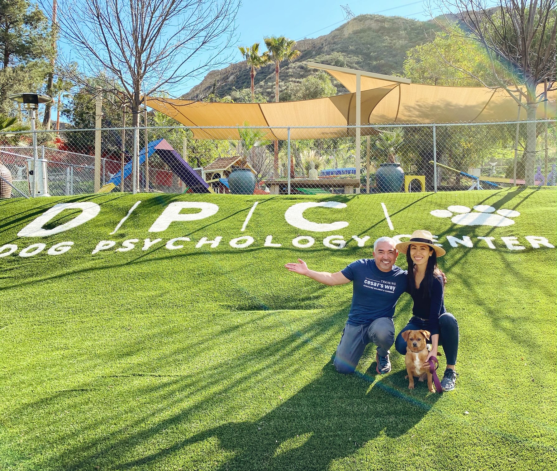 Cesar Millan Dog Psychology Center Location: Get Help From the Dog Whisperer Himself