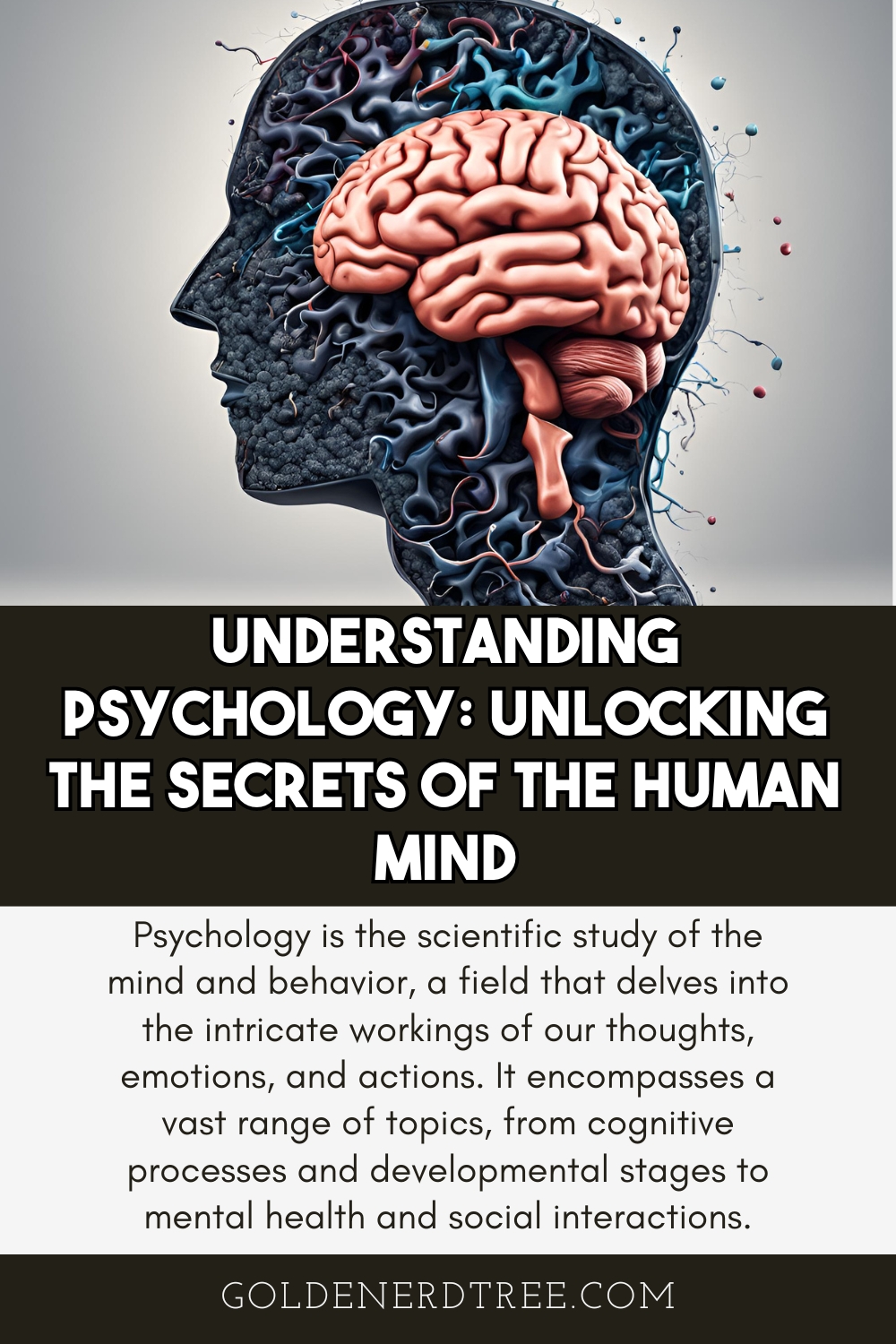 Understanding Cognitive Psychology Terms! Unlock the Secrets of the Human Mind!