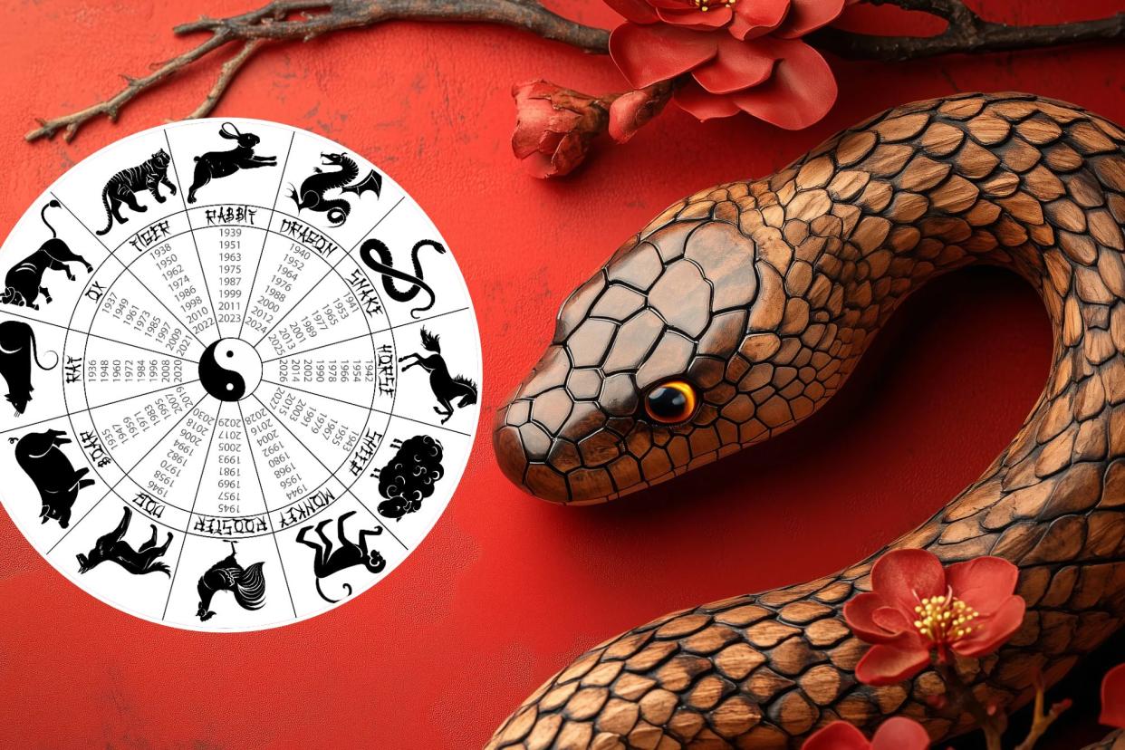 Best Pisces Snake Horoscope Insights for You! Discover Your Future Without the Fluff!