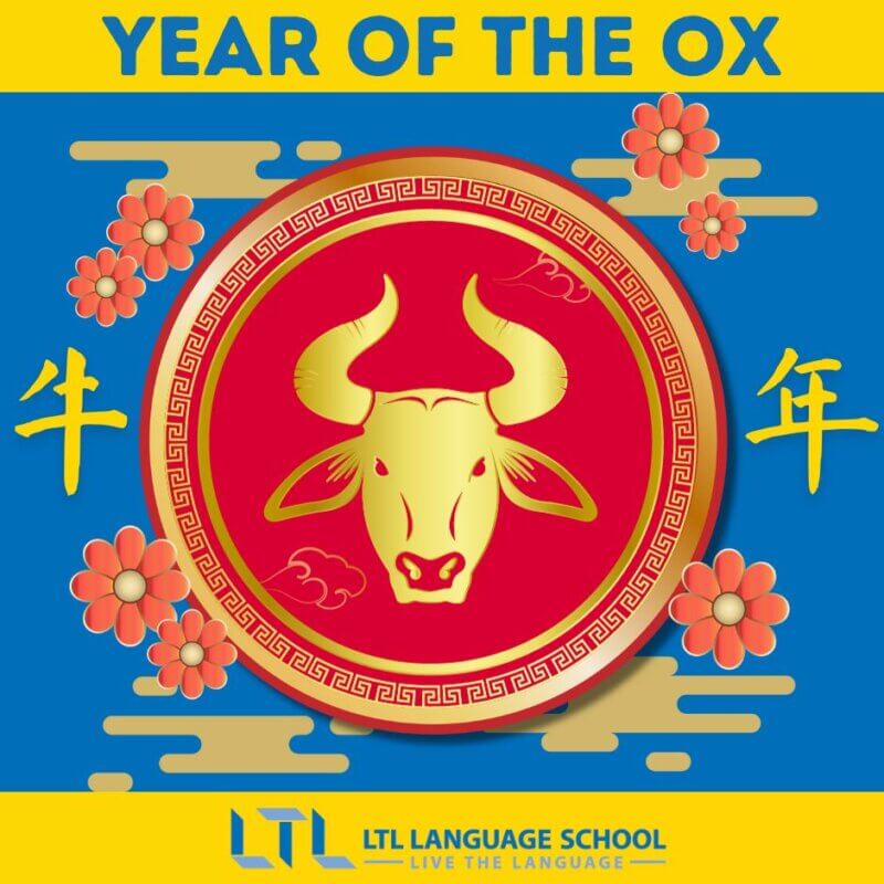 Ox Horoscope Today: Simple Tips to Check Your Luck Now!