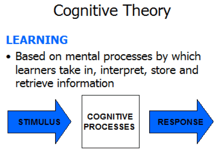 Whats Cognition AP Psychology Definition? Easy Guide to Understanding the Basics!