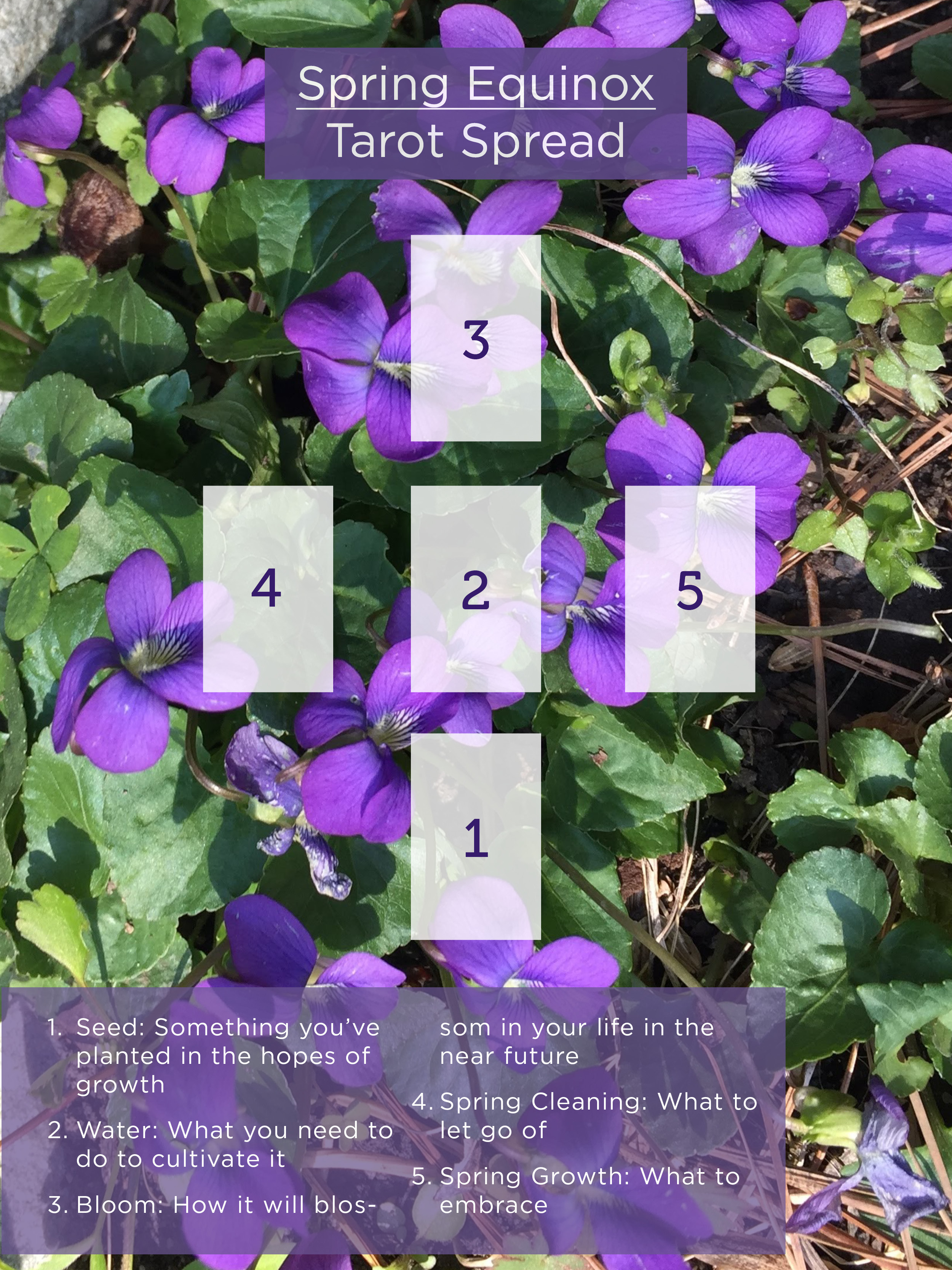 Try This Ostara Tarot Spread! (Beginner-Friendly Layout for Spring Equinox)