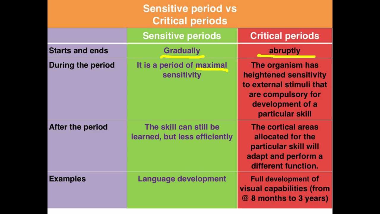 Demystifying the Critical Period AP Psychology Definition: A Beginner-Friendly Explanation