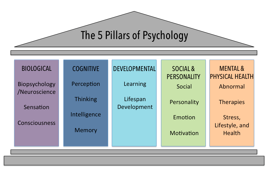 Want a Career in Abnormal Psychology? Here is What You Need to Know Before You Begin