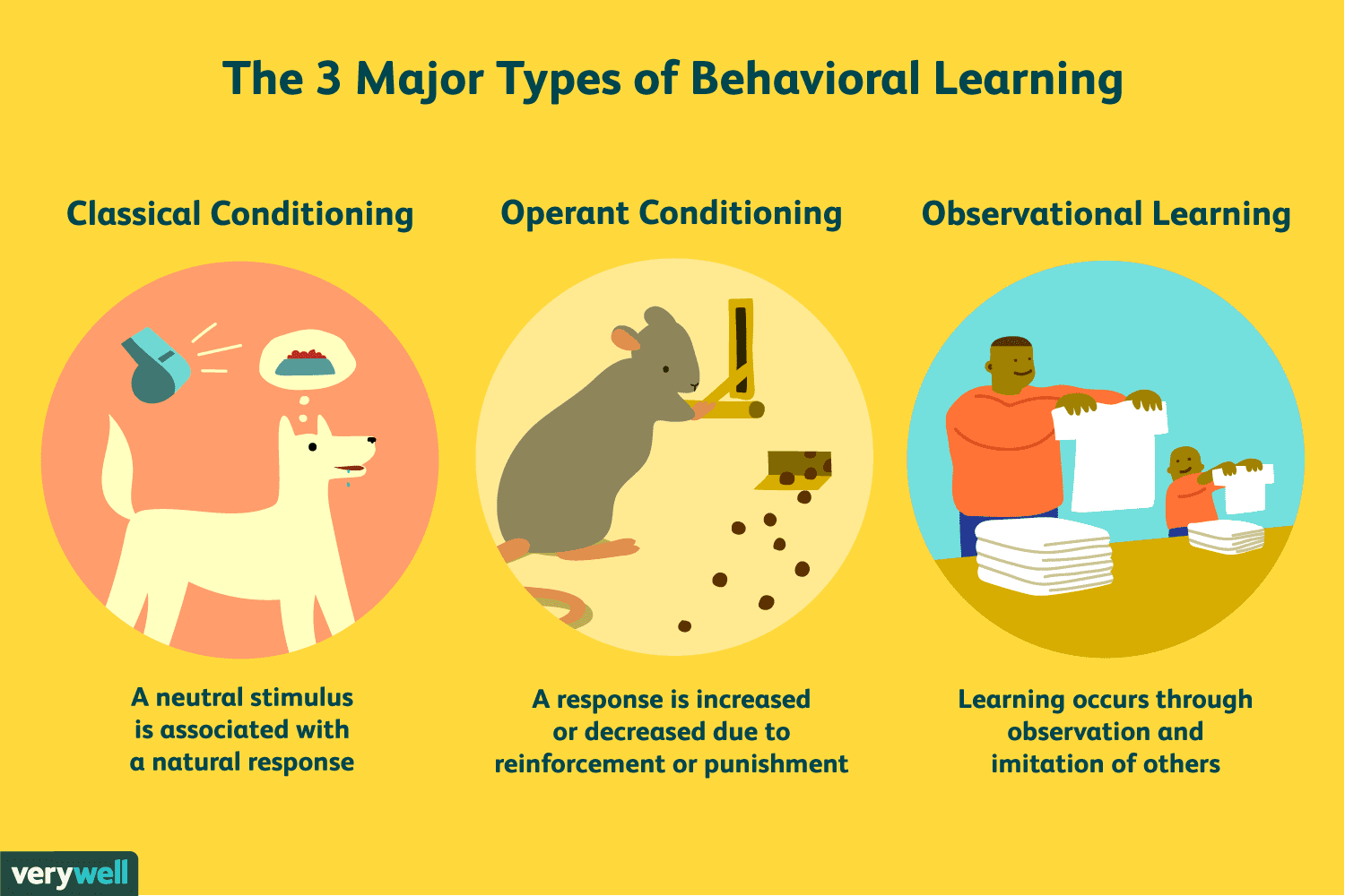 Connected Psychology Explained: Learn the Basics Now!