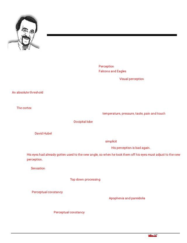 Discovering Psychology Sensation and Perception Episode 4 Worksheet Answers:  The Best Way to Check Your Work!