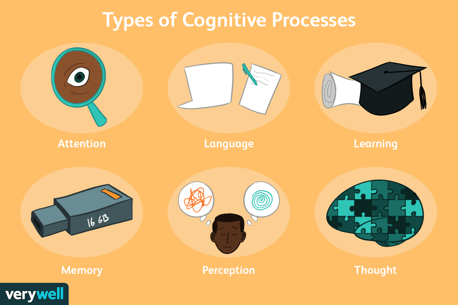 Whats Cognition AP Psychology Definition? Easy Guide to Understanding the Basics!