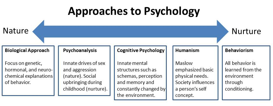 Debated Topics in Psychology: Explore the Hottest Issues and Their Impact on the Field