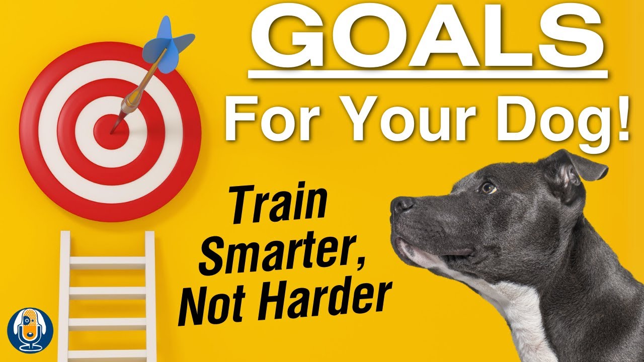 Dog Psychology and Training: Understand Your Dog and Train Smarter!