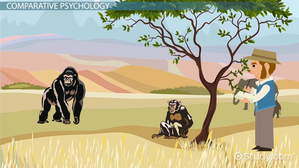 Charles Darwin AP Psychology: Discover How His Theories Relate to AP Psychology