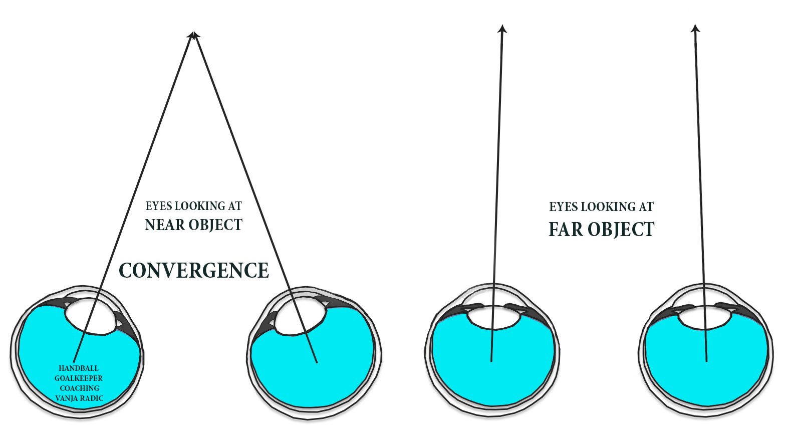 Understanding Convergence AP Psychology: Clear and Easy!