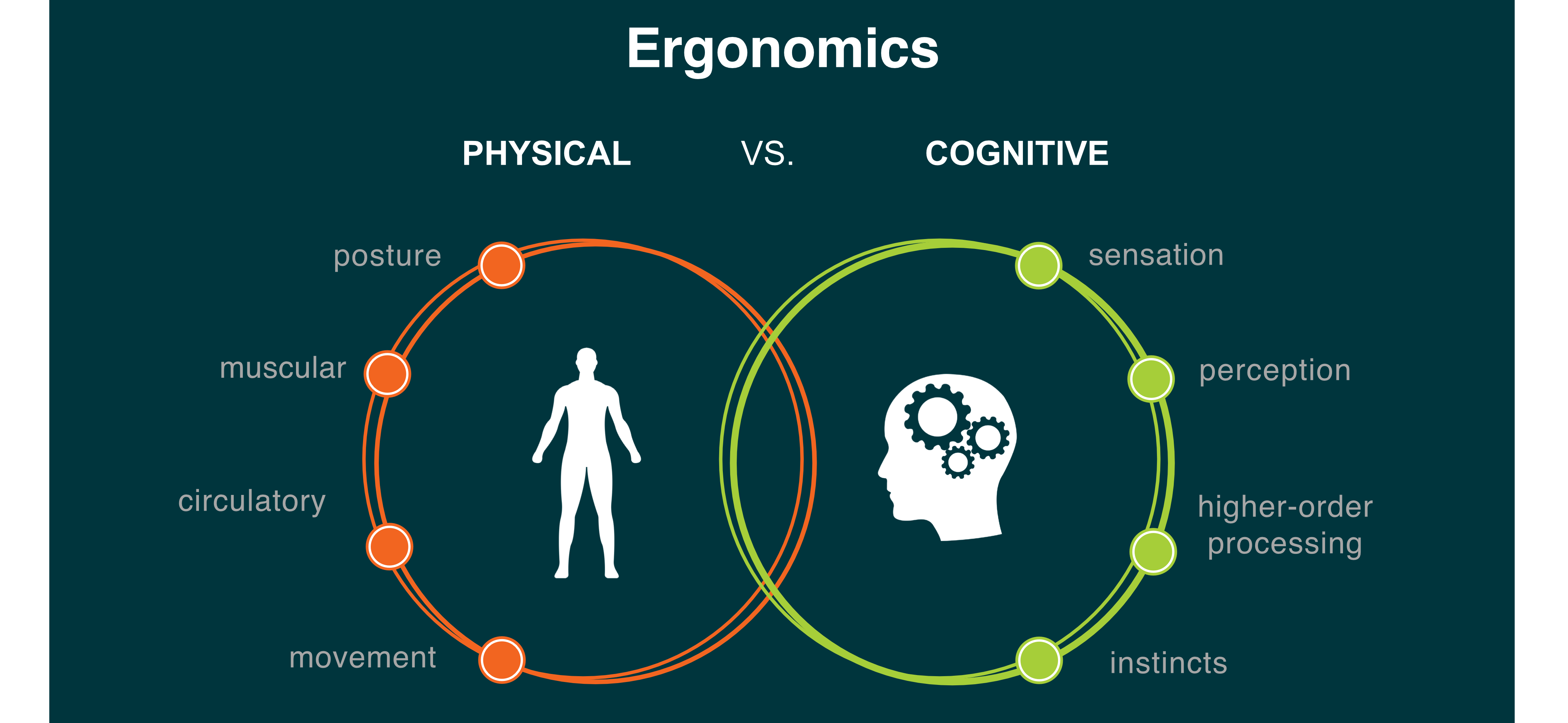 Engineering Psychology and Cognitive Ergonomics: Whats it all about? (A Simple Guide for Beginners)