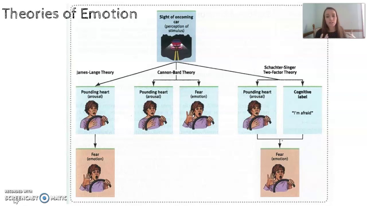 Emotion AP Psychology Explained: Get the Key Concepts Here!