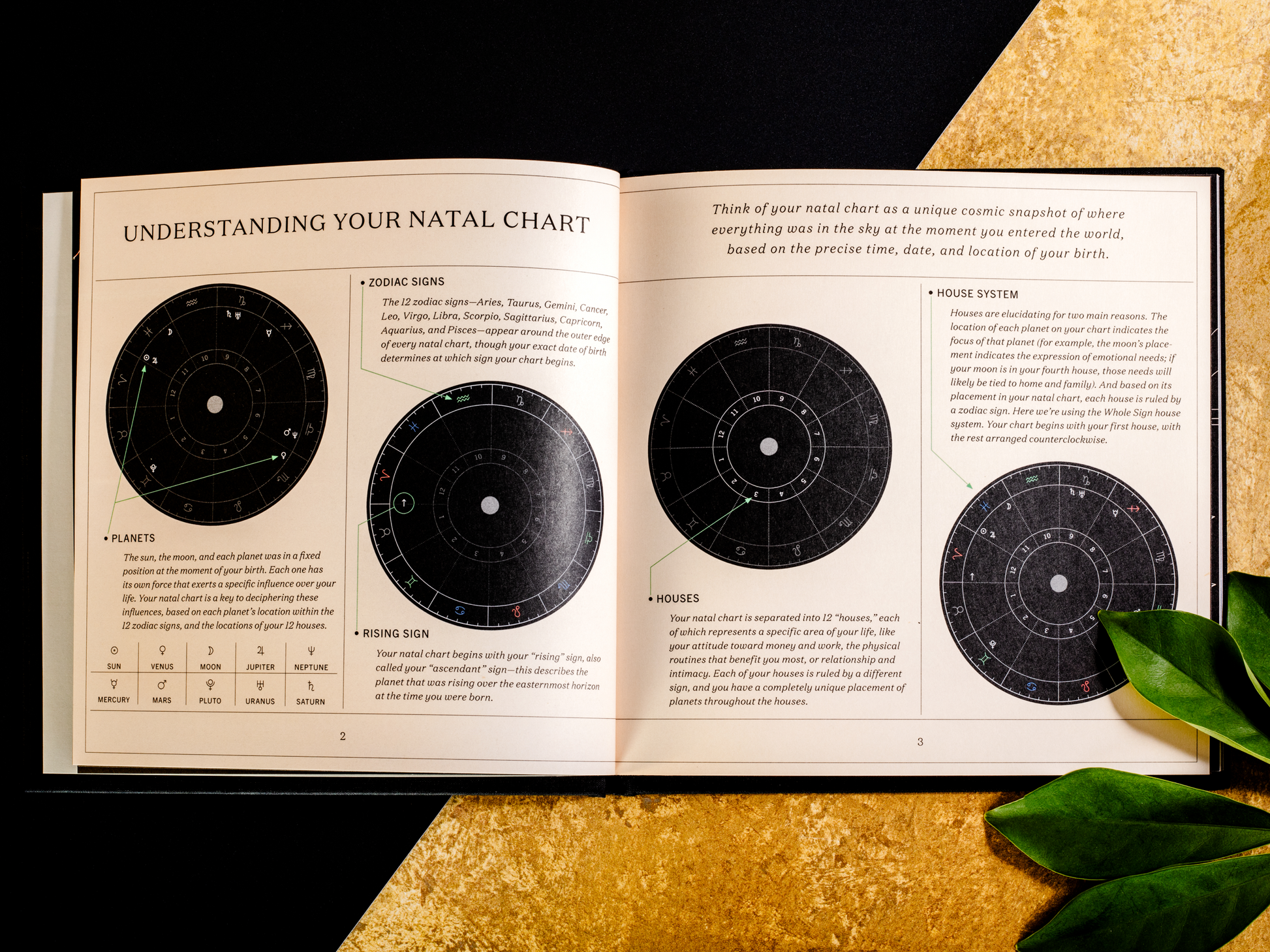 The Astrology Birthday Book: Cool Gift Idea! What to Expect From This Fun Book?